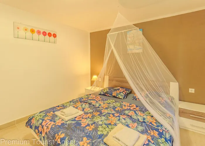 Robi And Kristina Extra Roof Terrace For *