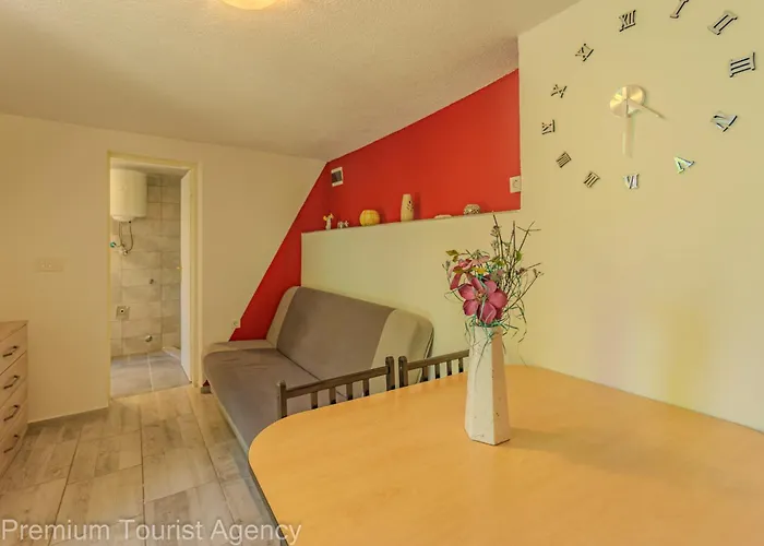 Robi And Kristina Extra Roof Terrace For