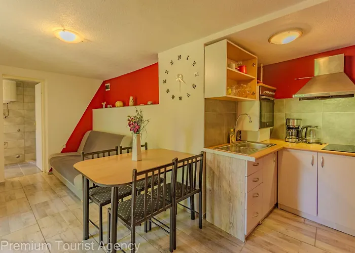 Robi And Kristina Extra Roof Terrace For *